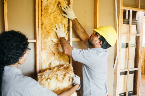 Best Insulation for New Construction  in Bismarck, ND